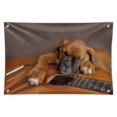 thumbnail image 1 of Boxer Puppy Dog Sleeping on Guitar Home Business Office Sign, 1 of 4