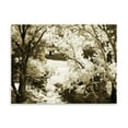 thumbnail image 2 of Gango Home Decor Sunlit Meadows II by Alan Hausenflock (Printed on Paper); One 24x18in Fine Art Paper Giclee Print, 2 of 4