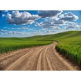 thumbnail image 2 of Eggers, Terry 18x15 White Modern Wood Framed Museum Art Print Titled - USA-Washington State-Palouse-Country Backroad through Spring wheat fields, 2 of 4