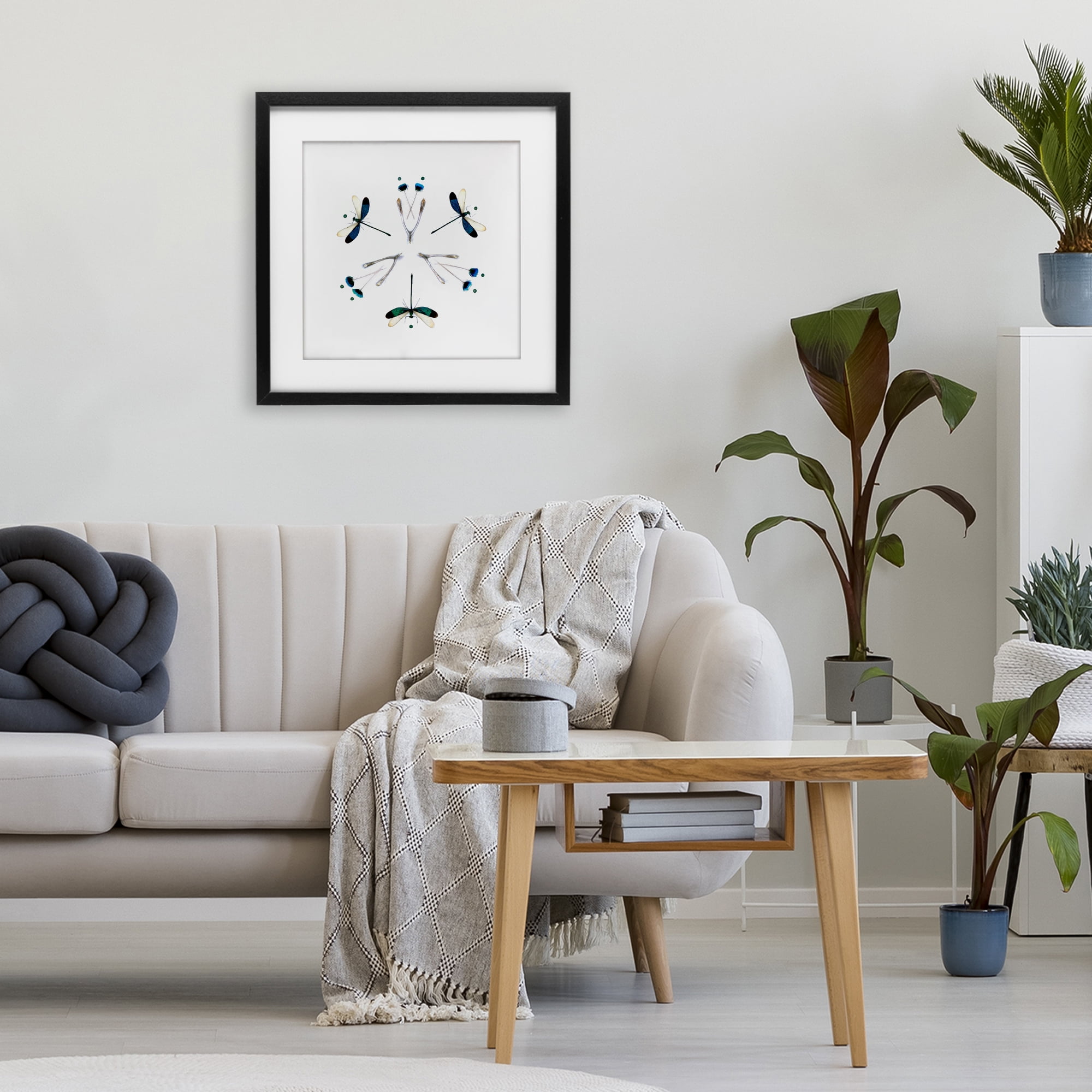 Stupell Industries Simple Dragonfly Symmetry Black Framed Print Under Glass, design by Beth Adoette