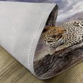 thumbnail image 5 of Ambesonne Savannah Place Mats Set of 4, Cloudscape Sunset Scene, Standard Size, Beige and Grey, 5 of 6