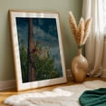 thumbnail image 6 of HOOP FINDS A WAY #2 - Santa Fe New Mexico Photography Basketball Rural Unframed Wall Art Print 4 x 6 inches, 6 of 60
