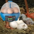 thumbnail image 4 of 6 huevos para incubar huevos Manual volteador de huevos Control de temperatura máquina de huevos manual azul Zulema incubadora de huevos, 4 of 8