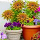 thumbnail image 5 of Estaca decorativa de jardín con flor de metal y acabado resistente a la oxidación para jardines, céspedes, patios y entradas de patios., 5 of 8