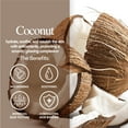 thumbnail image 3 of Luna Bunny 36PK Facial Sheet Mask, Korean Skincare Nourishing Face Mask for Self Care, Home Spa with Coconut, 3 of 6