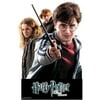 Harry Potter Group 02 - Harry Potter 7 W - Party Supplies - 1 Piece