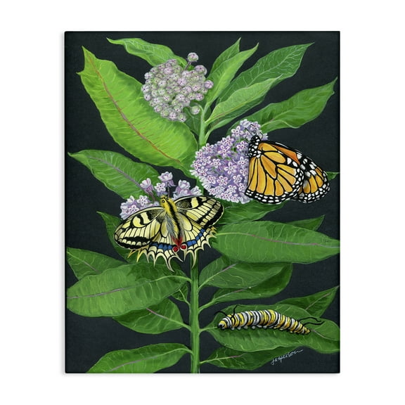 Stupell Industries Vintage Milkweed & Insects Animals & Insects Painting Gallery Wrapped Canvas Art Print Wall Art, 16 x 20