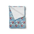 thumbnail image 2 of Airplane Soft Flannel Fleece Blanket, Retro Biplanes with Pennants Throwing Present Boxes Announcement Celebration Art, Cozy Plush for Indoor and Outdoor Use, 70" x 90", Multicolor, by Ambesonne, 2 of 5