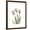 Brown Frame, variant on Art.com Soft Tulip Portrait 2 Stretched Canvas Print Wall Art by Albert Koetsier, 12" x 16"