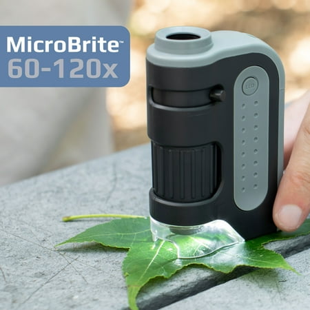 Carson MicroBrite Plus 60x-120x LED Lighted Pocket Microscope, Portable Handheld Microscope for Adults, Mini Microscope for Student Science Lab, STEM Educational Portable Microscope (MM-300)