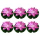 thumbnail image 5 of Luces flotantes de flor de loto con sensor de agua LED - 15cm - Rosa, 5 of 6