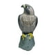 thumbnail image 2 of Estatua de señuelo de águila, espantapájaros, figura de control de águila, protector de jardín para exteriores Ojos negros, 2 of 9
