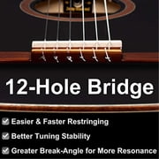 Family Series R221BK-L Classical Guitar