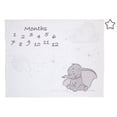 thumbnail image 1 of Manta para bebé Disney Dumbo Super Soft Milestone blanco/gris, 1 of 6