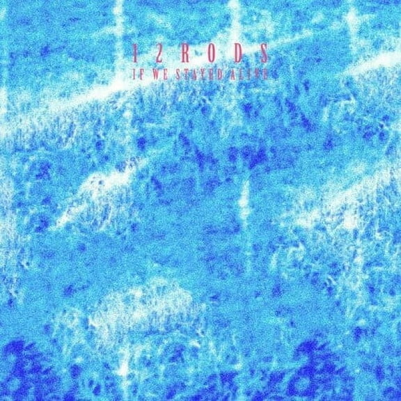 12 Rods - If We Stayed Alive - Music & Performance - Vinyl