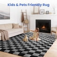 thumbnail image 2 of CozyDesg Shag Area Rugs,5'x8' Soft Fluffy Floor Rugs Checkered Carpet，Washable Area Rugs for Living Room Bedroom Decor,Black & Grey, 2 of 9