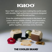 Igloo MaxCold Small Ice Freeze Block, Blue, Best Used for On-the-Go Snacks and Lunches to Keep Food Cool