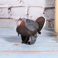 thumbnail image 3 of Simulation Animal Model,Simulation Animal Model Turkey Turkey Simulation Toy Animal Statue Top of the Line, 3 of 11
