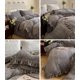 thumbnail image 4 of Xiao Hua Juego de sábanas, juego de sábanas y fundas de almohada, juego de cama individual, ropa de cama de hotel, decoración del hogar (gris), 4 of 4