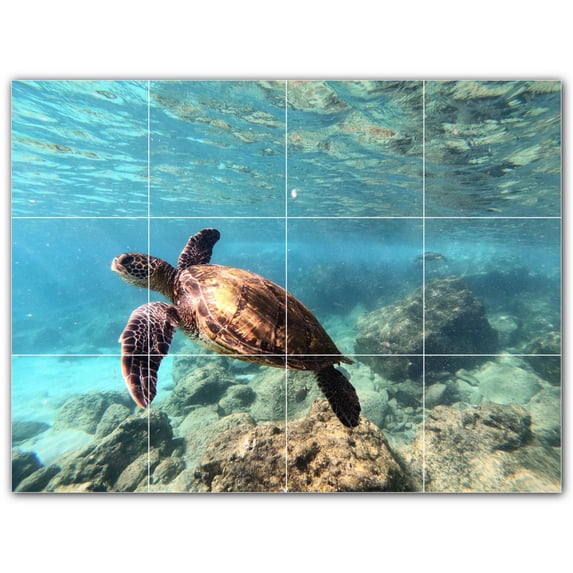 Picture-Tiles.com: Turtle Ceramic Tile Wall Mural WAL501066-43XL. 48"W x 36"H using (12) 12" x 12" Ceramic Tiles-Satin Finish