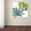thumbnail image 3 of Trademark Fine Art "Tropical Blush VII" Canvas Art by Lisa Audit, 3 of 3