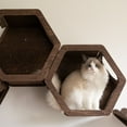 thumbnail image 6 of Wall Cat Shelves Wood Cat Wall Shelves Cat Furniture - Wooden Cat Shelf Wall Mounted Cat Wall Furniture - Indoor Cats Rustic Cat Decor Cat Lover Gift (Set of 2 Hex & a Bridge), 6 of 8