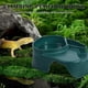 thumbnail image 4 of Tortoises Lizards Reptiles Square ABS Sunbathing Platform 1Pcs, 4 of 5