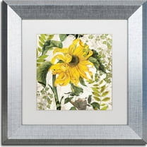 Trademark Fine Art "Carina II" Canvas Art by Color Bakery, White Matte, Silver Frame