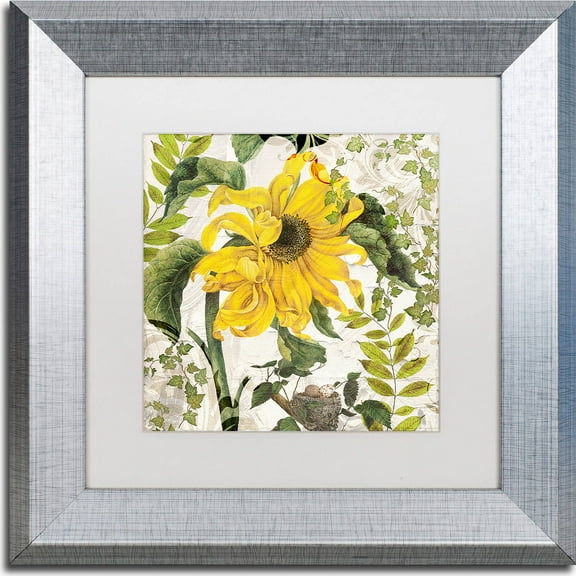 Trademark Fine Art "Carina II" Canvas Art by Color Bakery, White Matte, Silver Frame