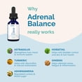 thumbnail image 4 of Remedio herbal PranaPets Adrenal Balance para perros con Cushing, 4 of 8