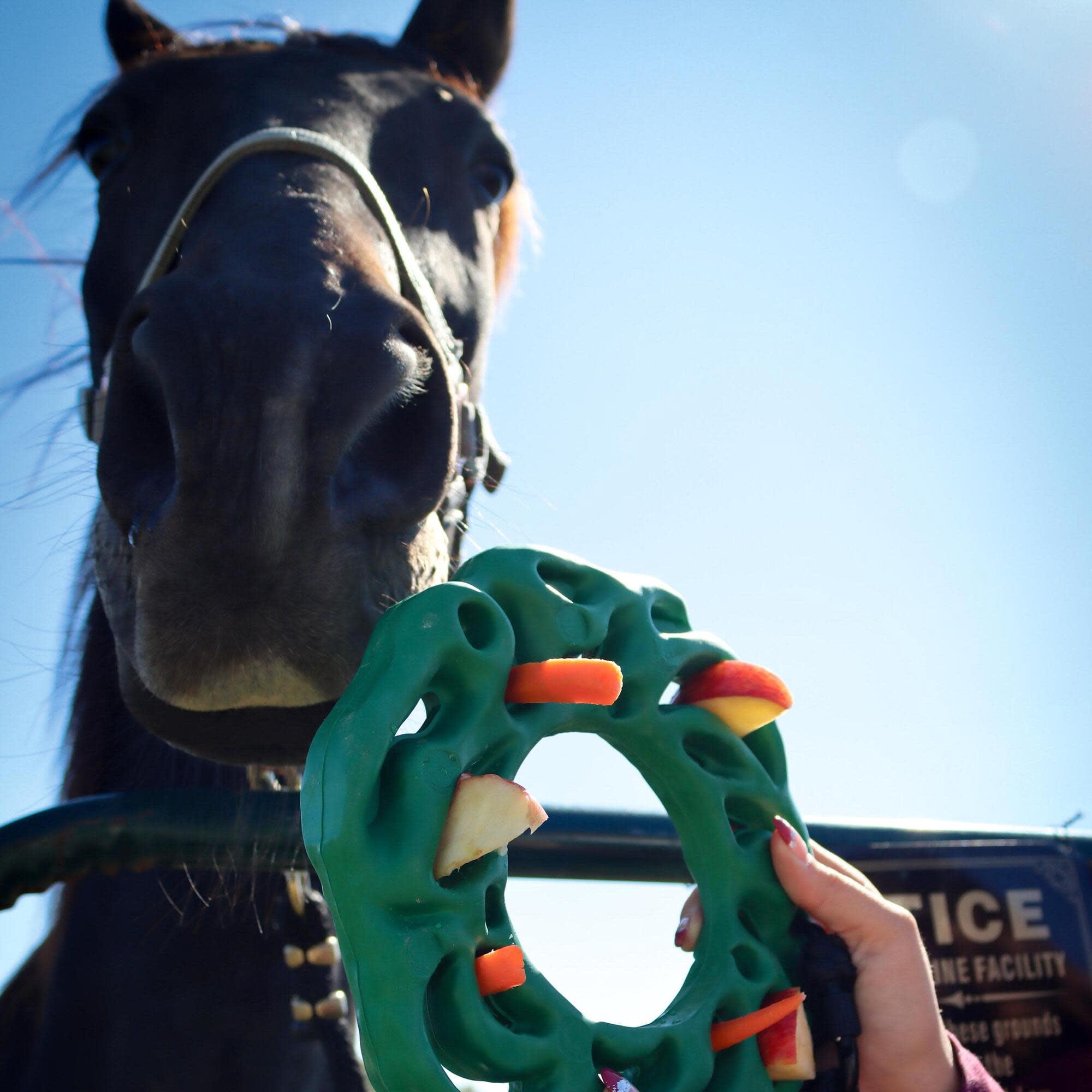 PetKORE: Luna Ring - Horse-Equine - 9" Green, Rubber Treat Puzzle Toy with Hanging Kit, Carabiner & Rope, Fun Mental Stimulation & Stress Relief Play