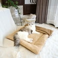 Kyaiguo Folding Kitten Beds Cat Beds for Indoor Cats 2in1 Pet Sleeping