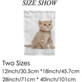 thumbnail image 2 of SKYSONIC British Kitten Isolated on White Double Side Print Garden House Sports Flag 12x18 in Polyester Decorative Flag Banner for Outside House Flowerpot, 2 of 7