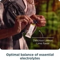 thumbnail image 4 of Ancient Nutrition Rapid Hydration Electrolyte Powder, Lemon Lime, Sea Salt & Red Marine Algae, Hydration & Cellular Health, 15 Servings, 4 of 6