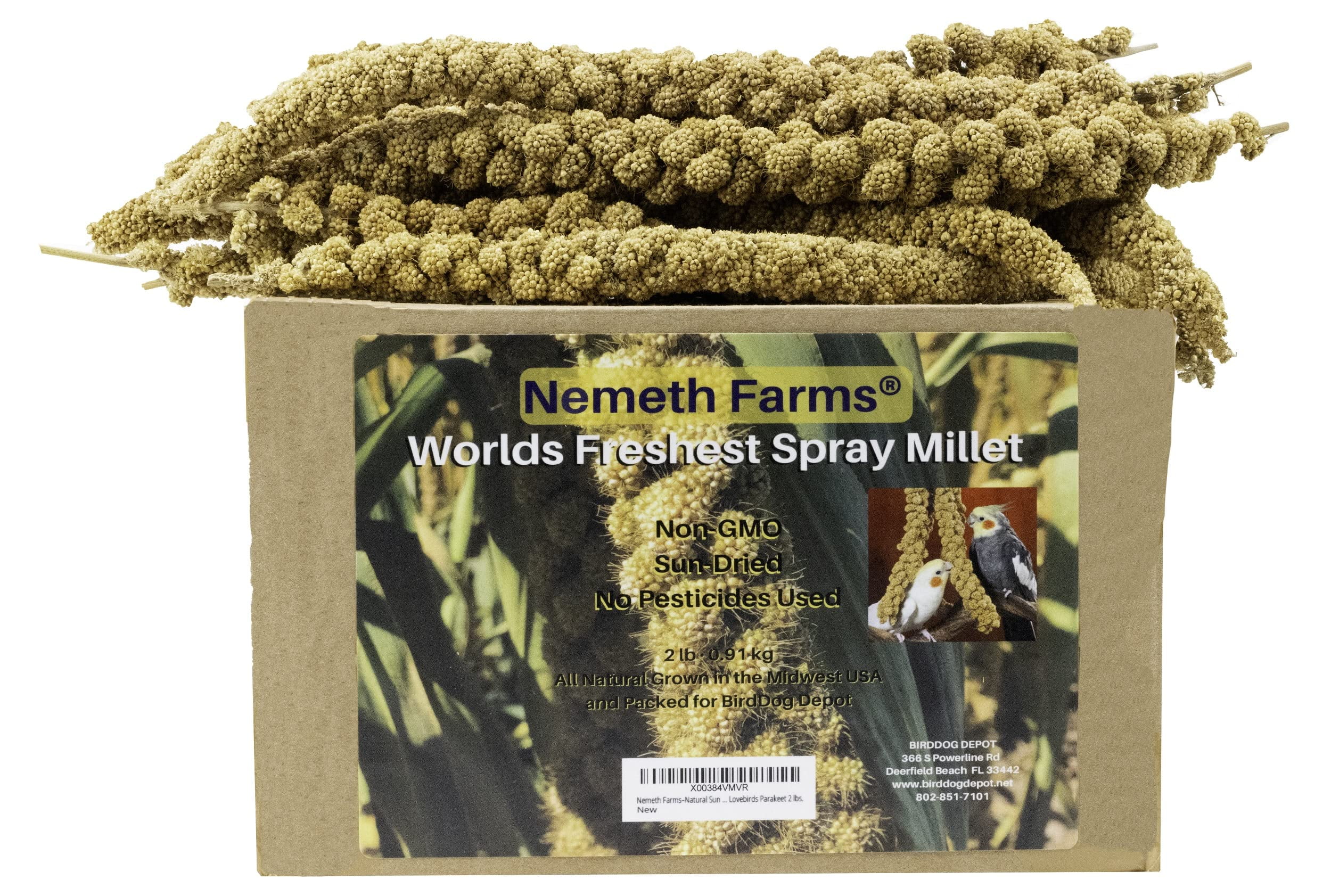 Sleek & Sassy Golden Farms Premium Millet Spray For Birds - 2 Lb Bag, All-Natural Treat For Parakeets, Finches, Cockatiels & More