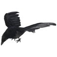 thumbnail image 3 of Halloween prop feathers Crow bird large 25x40cm spreading wings Black, 3 of 5