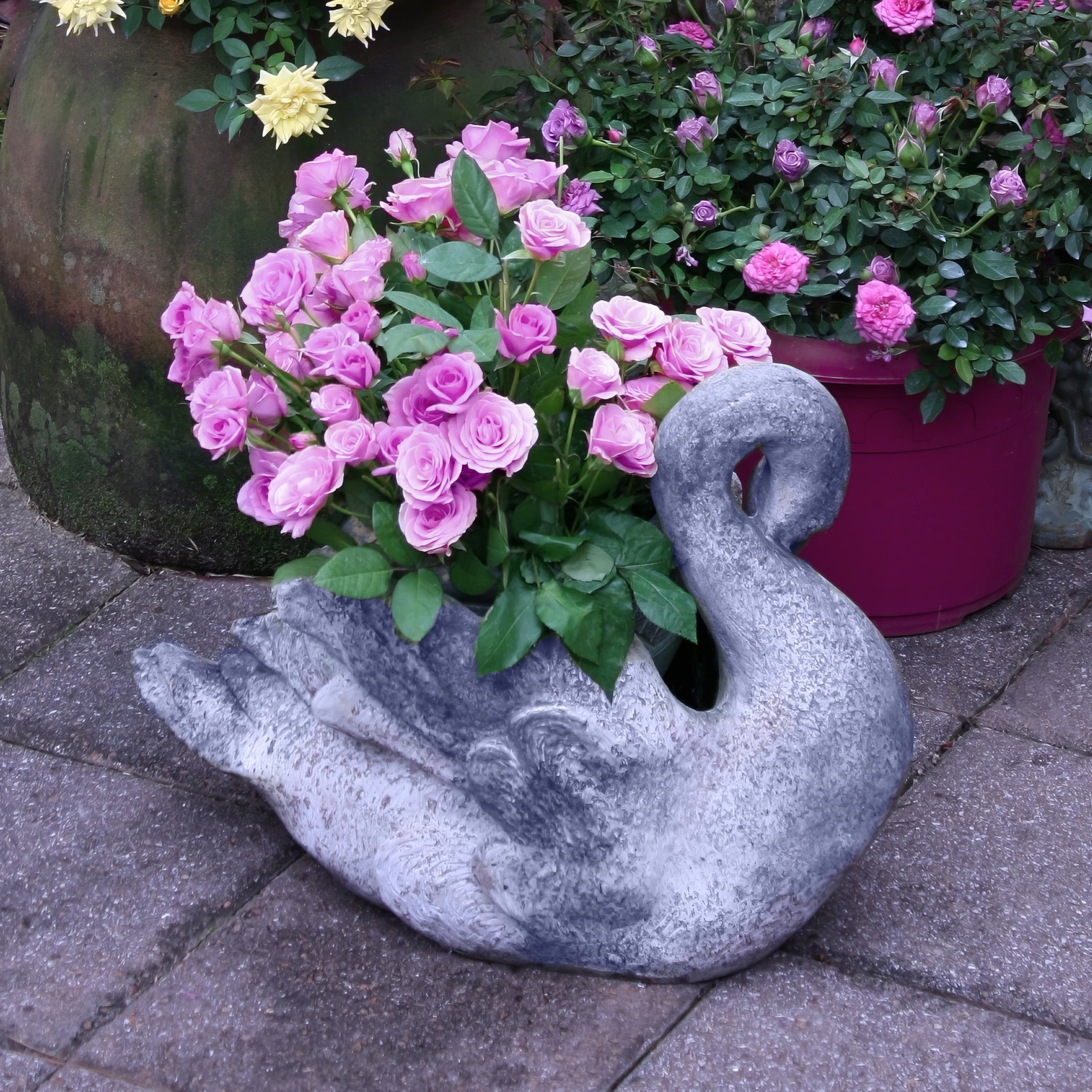 National Plant Network 2.5 in. Rose Lavender Jewel Live Shrub with Full Sun (3-Pack)