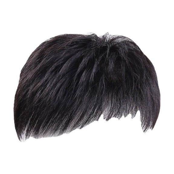 Men’s Straight Hair Patches Heat Resistant Synthetic Fiber Toupee for Daily and Party Hair Coverage Wigs for Hair Styling