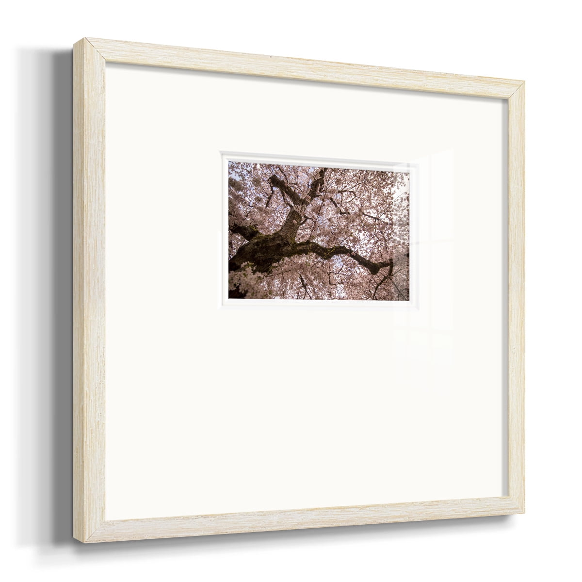 Spring's ArrivalPremium Framed Print