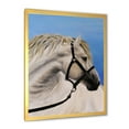 thumbnail image 2 of Designart 'Close Up Of White Horse In The Furrow' Farmhouse Framed Art Print, 2 of 4
