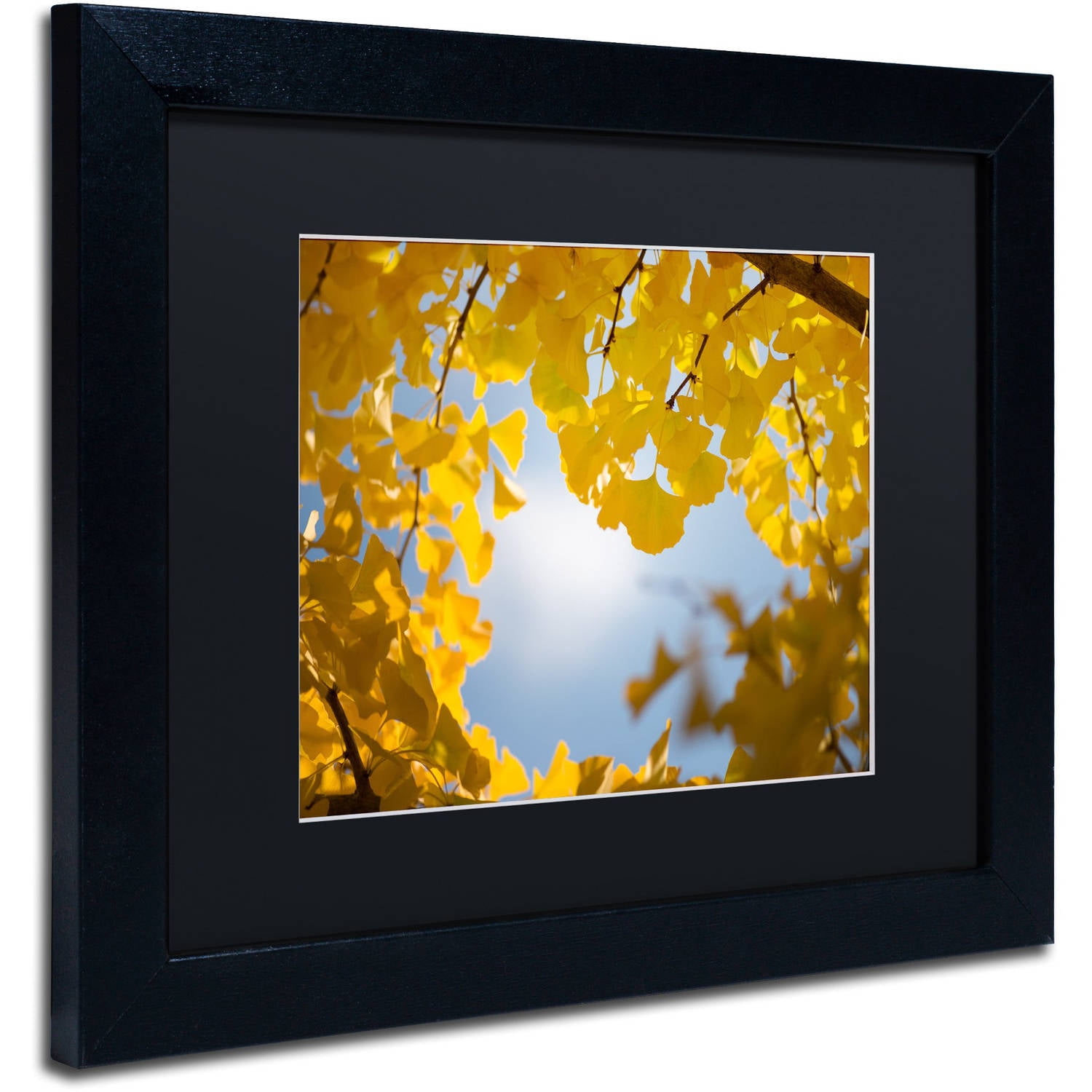 Trademark Fine Art "Ginkgo Leaves in Autumn" Canvas Art by Philippe Sainte-Laudy Black Matte, Black Frame