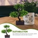 thumbnail image 2 of Plantas artificiales en maceta, plantas de escritorio, bonsái decorativo para el hogar, 2 of 7