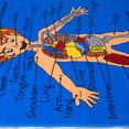 thumbnail image 4 of Allstar Kids / Baby Room Area Rug. Human Anatomy: Learn All About the Human Body. Blue Color (3' 3" x 4' 10"), 4 of 7