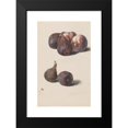 thumbnail image 2 of Leopold Zinnögger 11x14 Black Modern Framed Museum Art Print Titled - Figs and Peaches (1833), 2 of 5
