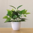 thumbnail image 4 of 2 Pcs Fresh Artificial Foliage Plant Potted Bonsai Wedding Party Mall Desktop Decor(Type 2), 4 of 9