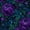 Color 2, variant on Peel and Stick Wallpaper 17.7in x 9.8ft Purple Crystals Crescent Moons Cosmic Design Contact Paper Vinyl Waterproof Self Adhesive Wall Paper for Bedroom Shelf Cabinet Renter Friendly