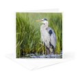 thumbnail image 5 of 3drose, Usa, Wy. Great Blue Heron in Breeding Plumage Standing in a Wetland., 6 Greeting Cards with Envelopes, 5 of 7