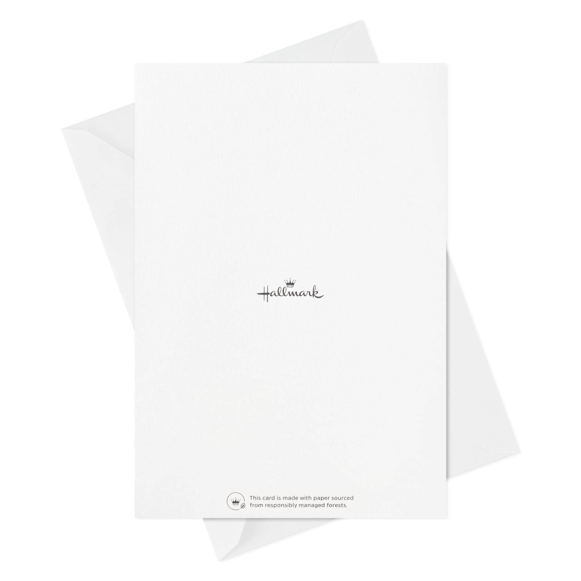Hallmark Assorted Multi-Occasion Cards (Collage Lettering and Flowers), Pack of 12
