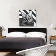 thumbnail image 2 of ARTCANVAS American Wirehair Cat Breed Greyscale Canvas Art Print - Size: 26" x 26" (0.75" Deep), 2 of 9