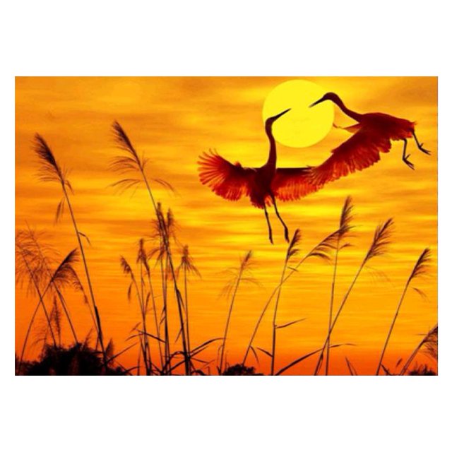 Taladro Pintura Diamante (DE0029) 5D DIY Sunset Crane Kit de bordado de punto de cruz completo 50x70cm FLhrweasw Nuevo